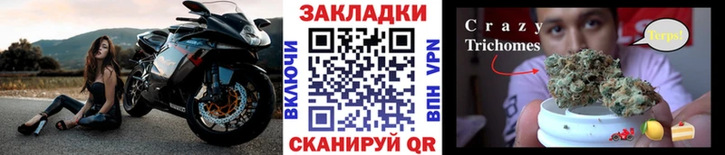 ГАШ Светлоград