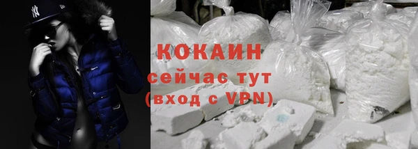 кокс Няндома