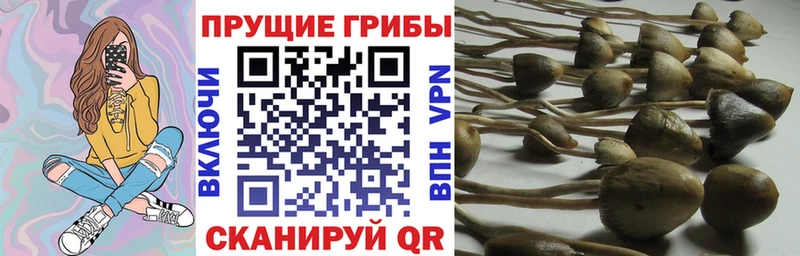 Галлюциногенные грибы мухоморы Светлоград