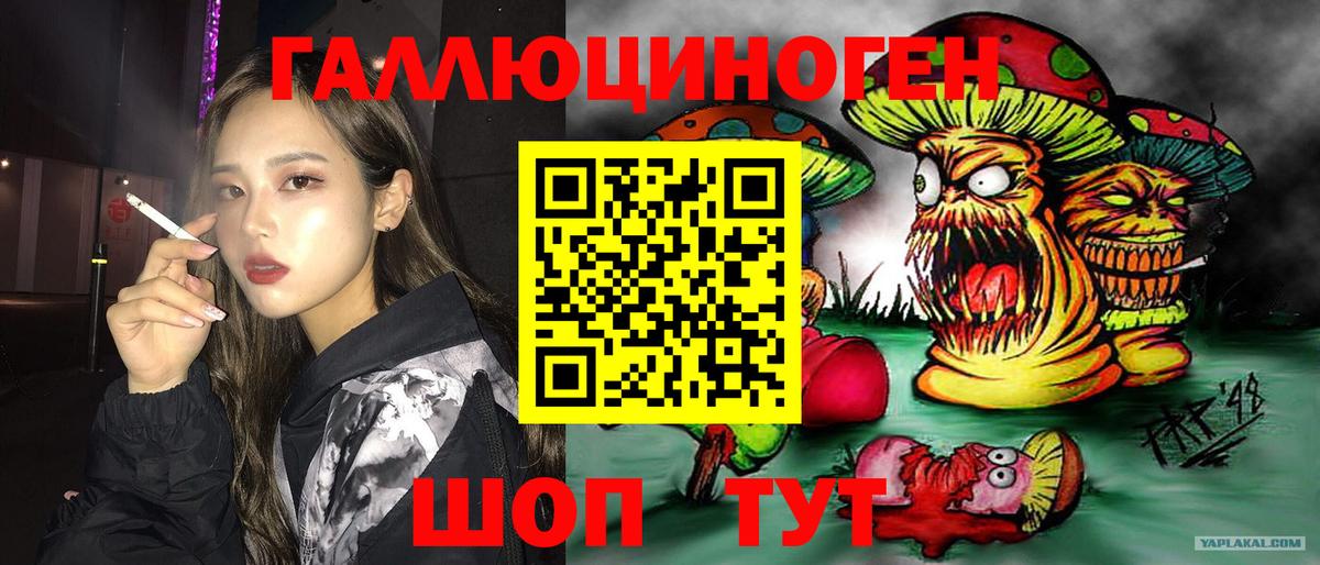 Псилоцибиновые грибы Cubensis  Вход с VPN  Светлоград  Псилоцибиновые грибы Magic Shrooms 
